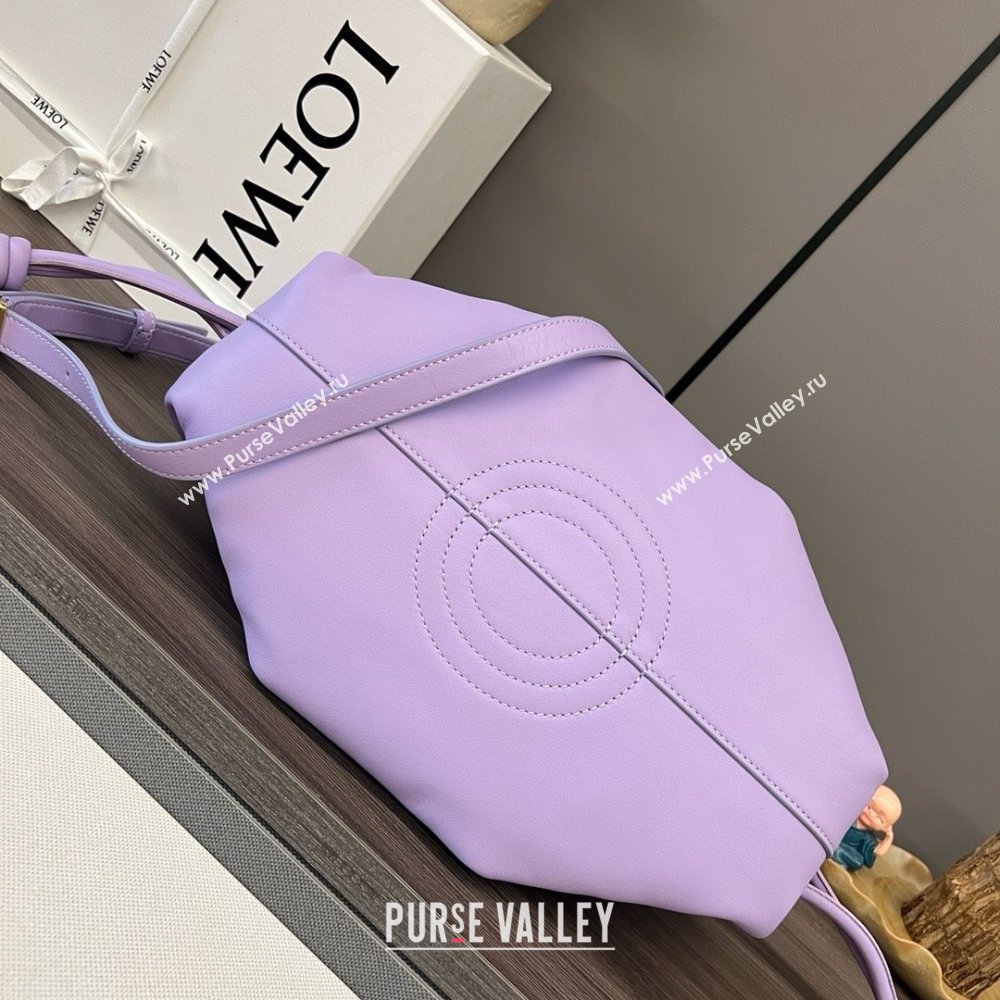 LOEWE Small Paseo bag in shiny nappa calfskin purple 2024 (yongsheng-240329-08)