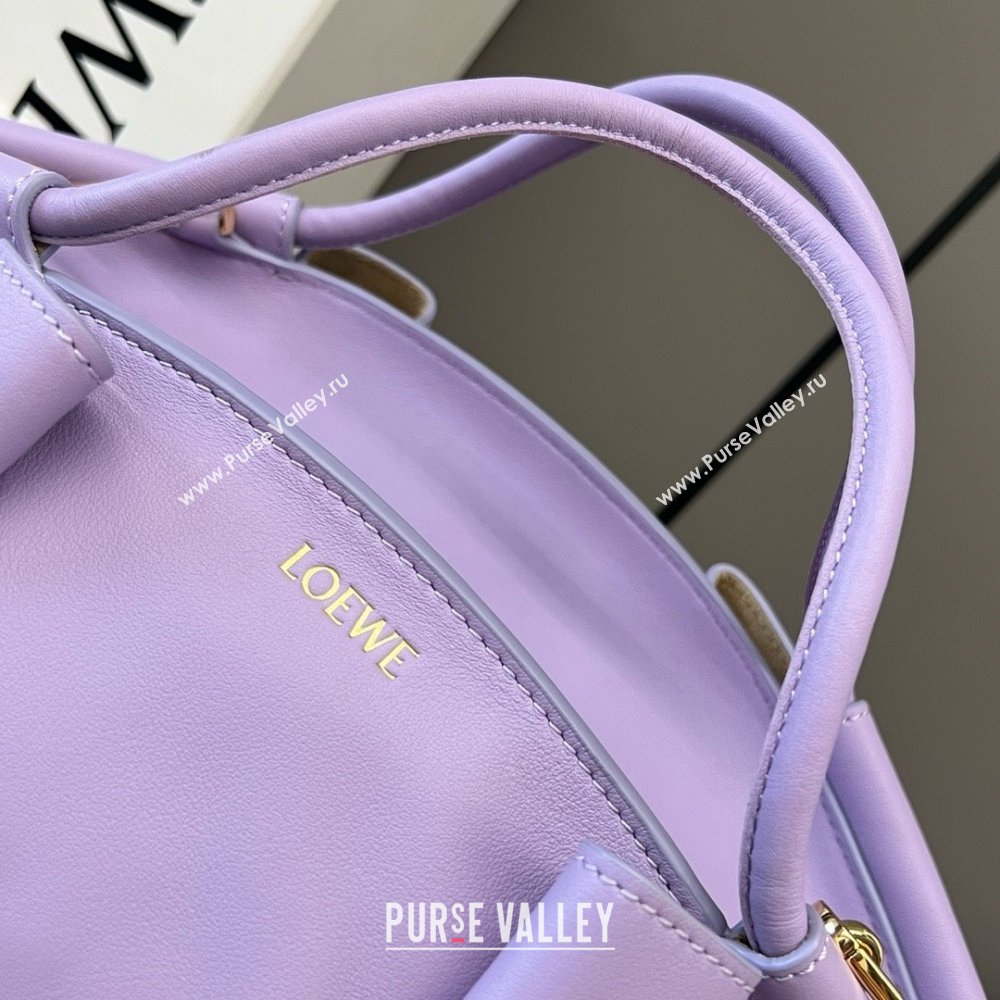 LOEWE Small Paseo bag in shiny nappa calfskin purple 2024 (yongsheng-240329-08)