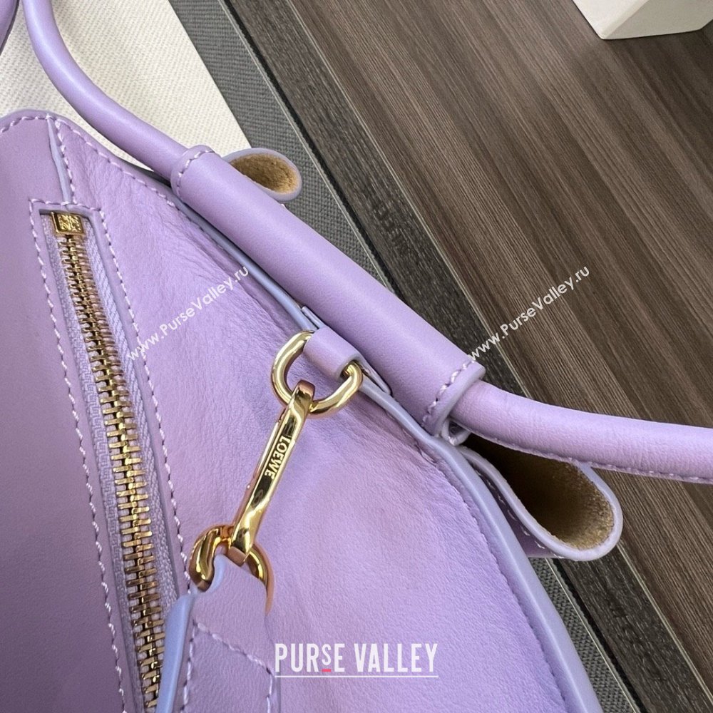 LOEWE Small Paseo bag in shiny nappa calfskin purple 2024 (yongsheng-240329-08)