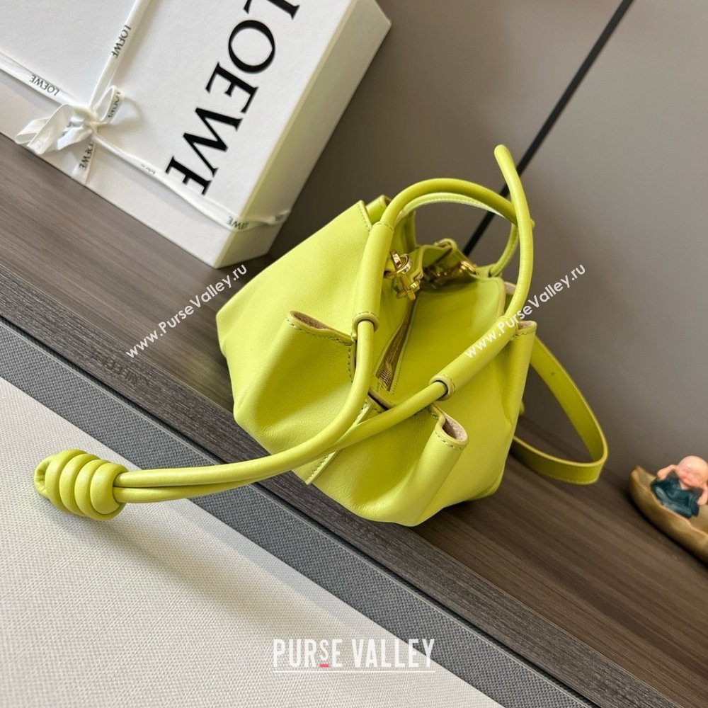 LOEWE Small Paseo bag in shiny nappa calfskin lemon yellow 2024 (yongsheng-240329-09)