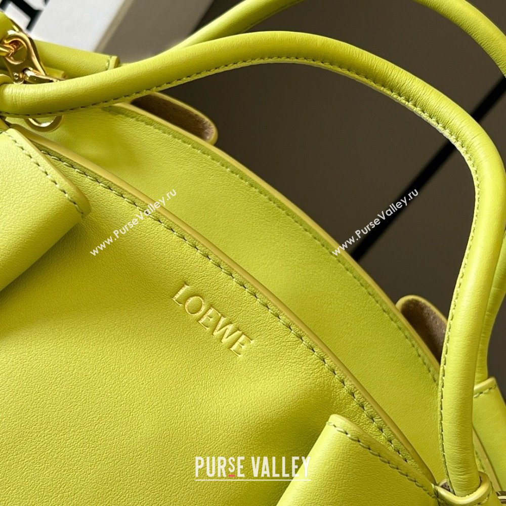 LOEWE Small Paseo bag in shiny nappa calfskin lemon yellow 2024 (yongsheng-240329-09)