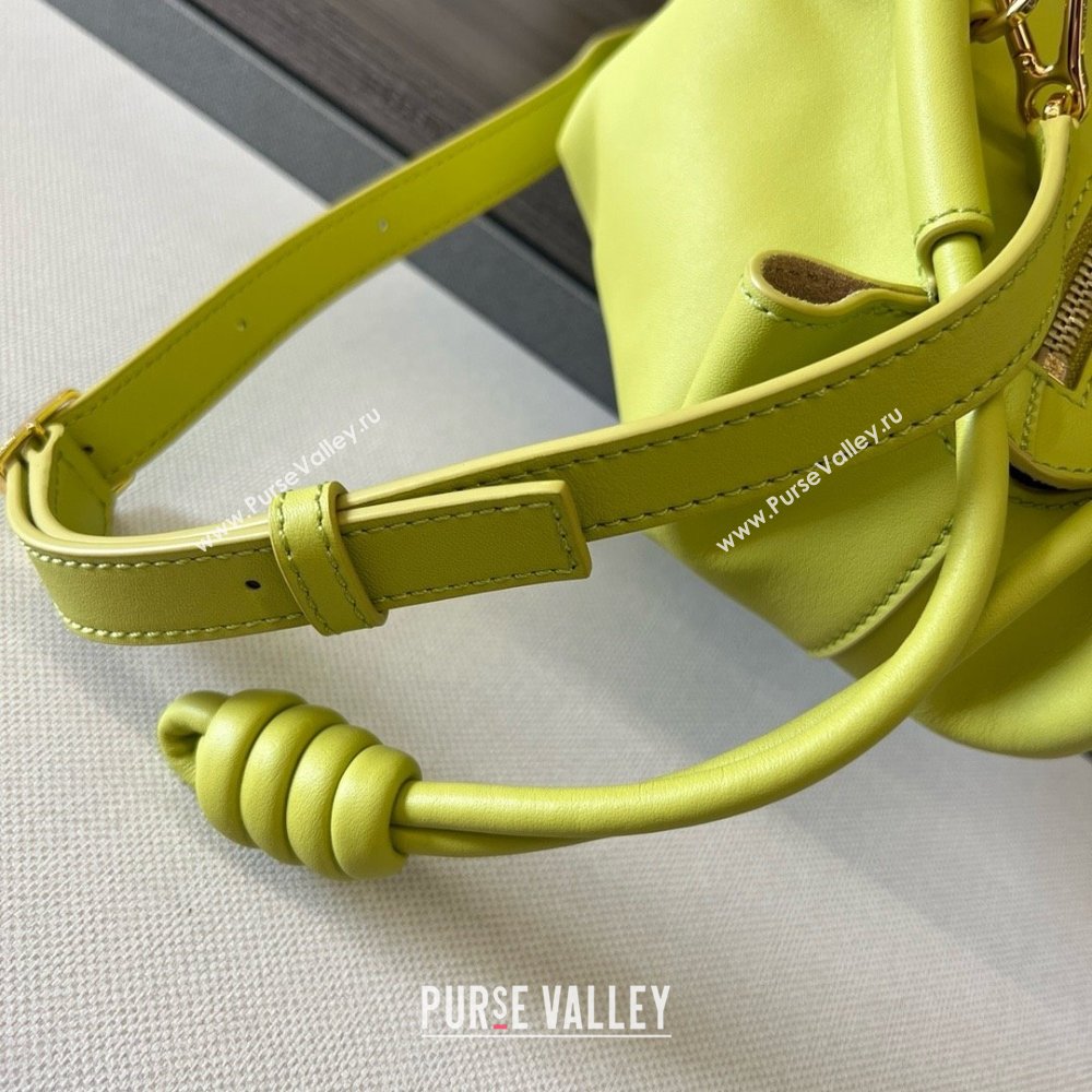 LOEWE Small Paseo bag in shiny nappa calfskin lemon yellow 2024 (yongsheng-240329-09)