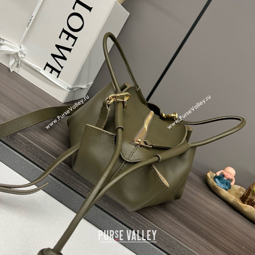 LOEWE Small Paseo bag in shiny nappa calfskin Dark Khaki Green 2024 (yongsheng-240329-06)