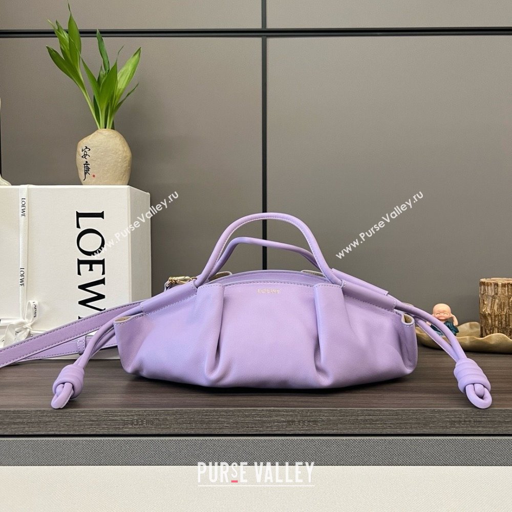 LOEWE Small Paseo bag in shiny nappa calfskin purple 2024 (yongsheng-240329-08)