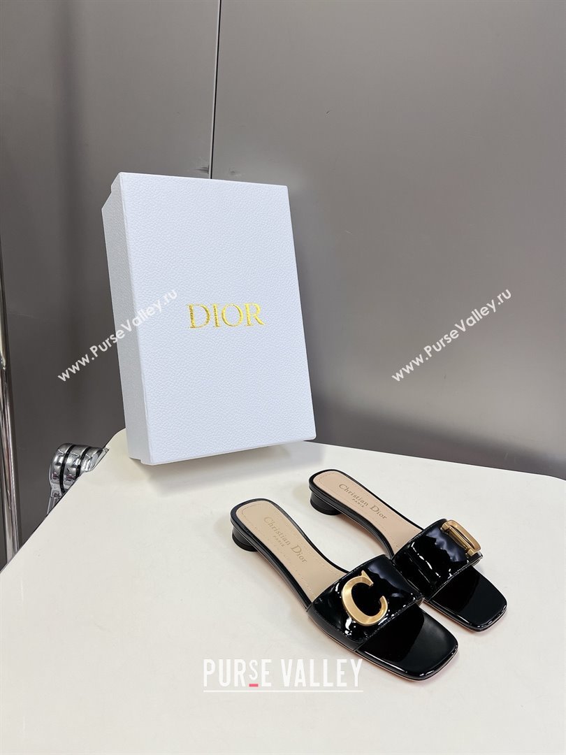 Dior Cest Dior Slide black 2024 (modeng-240425-27)