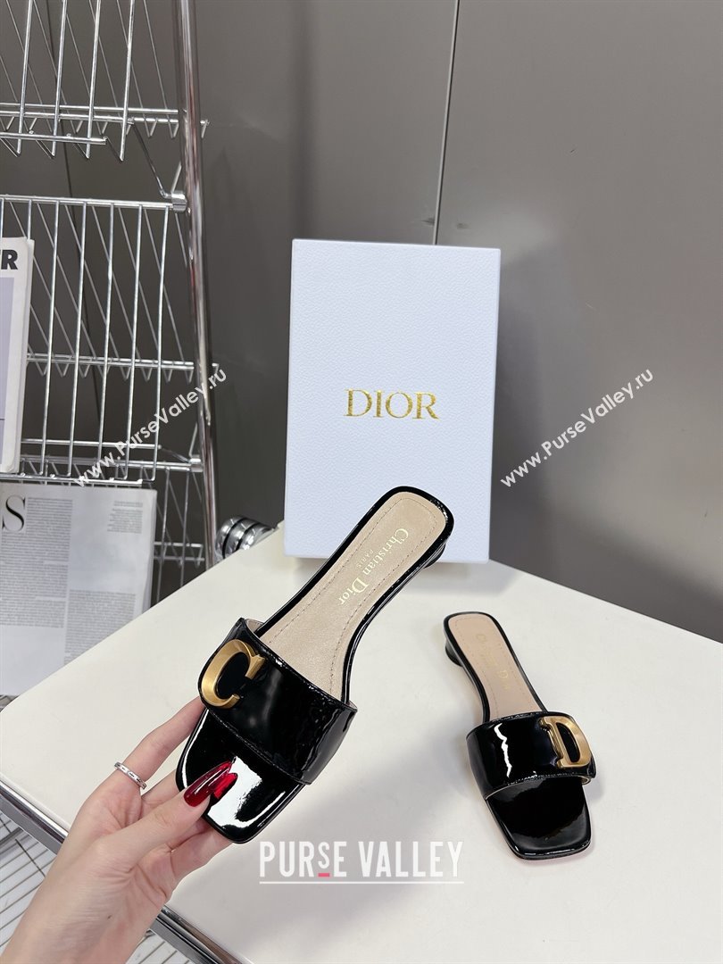 Dior Cest Dior Slide black 2024 (modeng-240425-27)