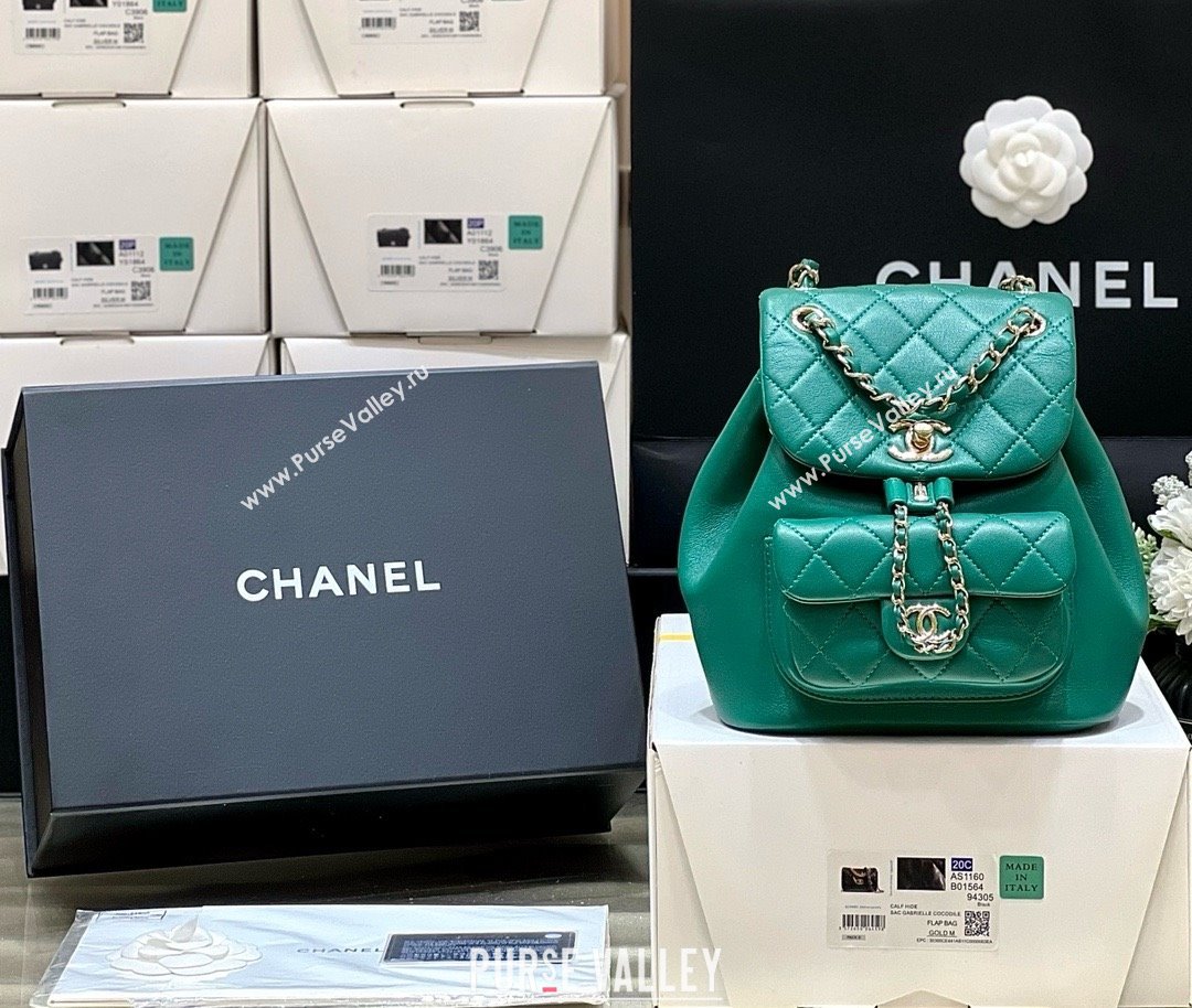 chanel mini sheepskin duma backpack AS2908 GREEN 2024(ORIGINAL QUALITY) (SHUNYANG-240222-24)