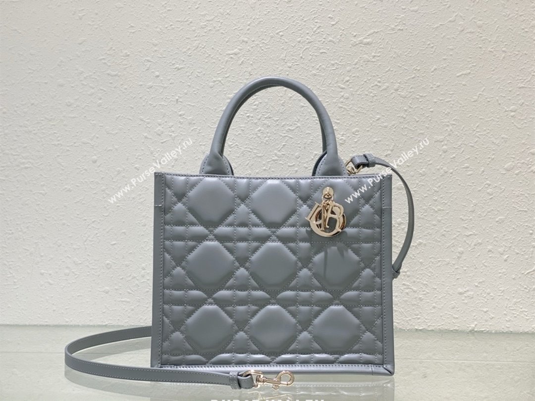 Dior small Book Tote Bag in gray Macrocannage Calfskin 2024 (xxg-240401-05)