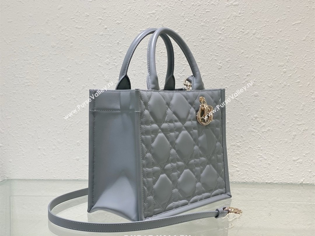 Dior small Book Tote Bag in gray Macrocannage Calfskin 2024 (xxg-240401-05)
