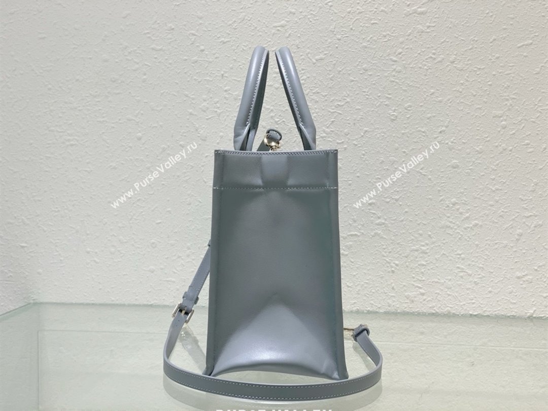 Dior small Book Tote Bag in gray Macrocannage Calfskin 2024 (xxg-240401-05)