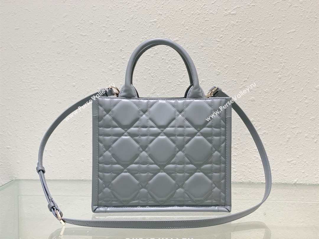 Dior small Book Tote Bag in gray Macrocannage Calfskin 2024 (xxg-240401-05)