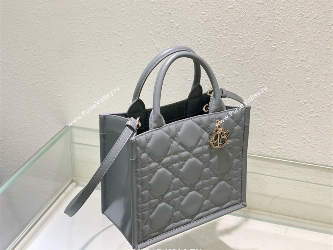 Dior small Book Tote Bag in gray Macrocannage Calfskin 2024 (xxg-240401-05)