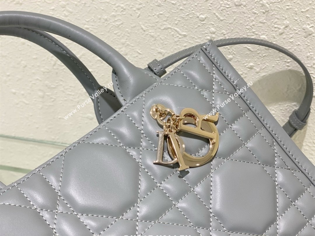 Dior small Book Tote Bag in gray Macrocannage Calfskin 2024 (xxg-240401-05)