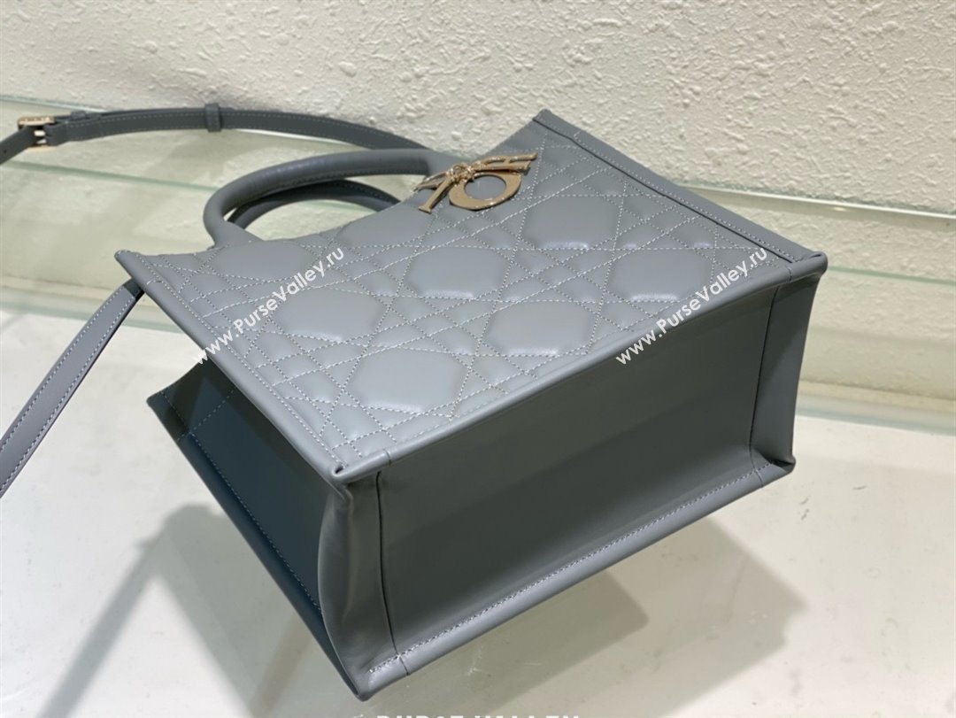 Dior small Book Tote Bag in gray Macrocannage Calfskin 2024 (xxg-240401-05)