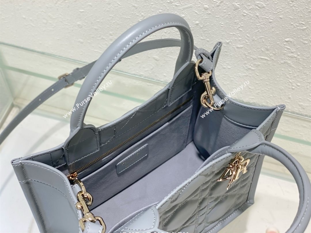 Dior small Book Tote Bag in gray Macrocannage Calfskin 2024 (xxg-240401-05)