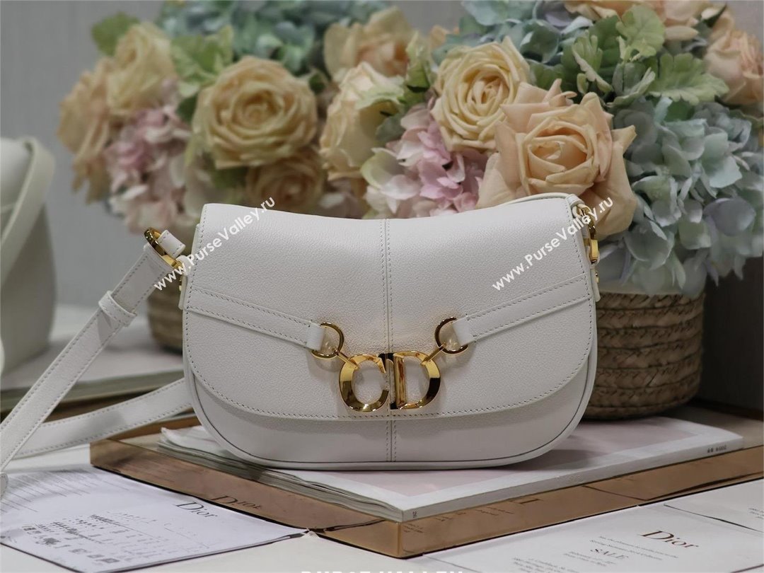 Dior Small CD Besace Bag in white Calfskin 2024 (xxg-240401-14)