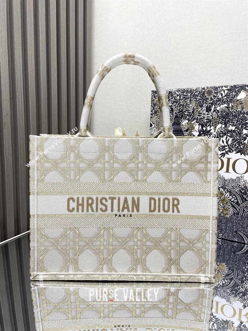Dior Medium Book Tote Bag in White and Gold-Tone Macrocannage Embroidery 2024 (xxg-240329-09)