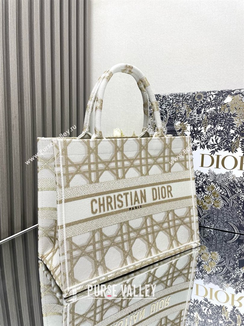 Dior Medium Book Tote Bag in White and Gold-Tone Macrocannage Embroidery 2024 (xxg-240329-09)