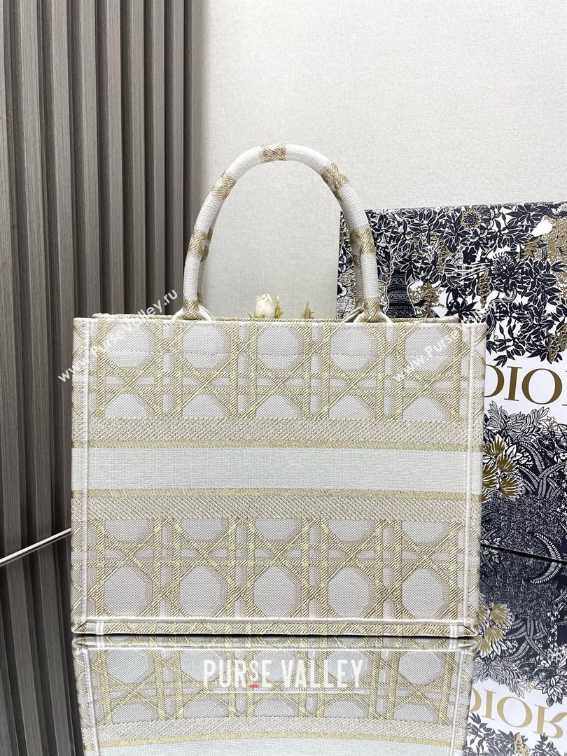 Dior Medium Book Tote Bag in White and Gold-Tone Macrocannage Embroidery 2024 (xxg-240329-09)