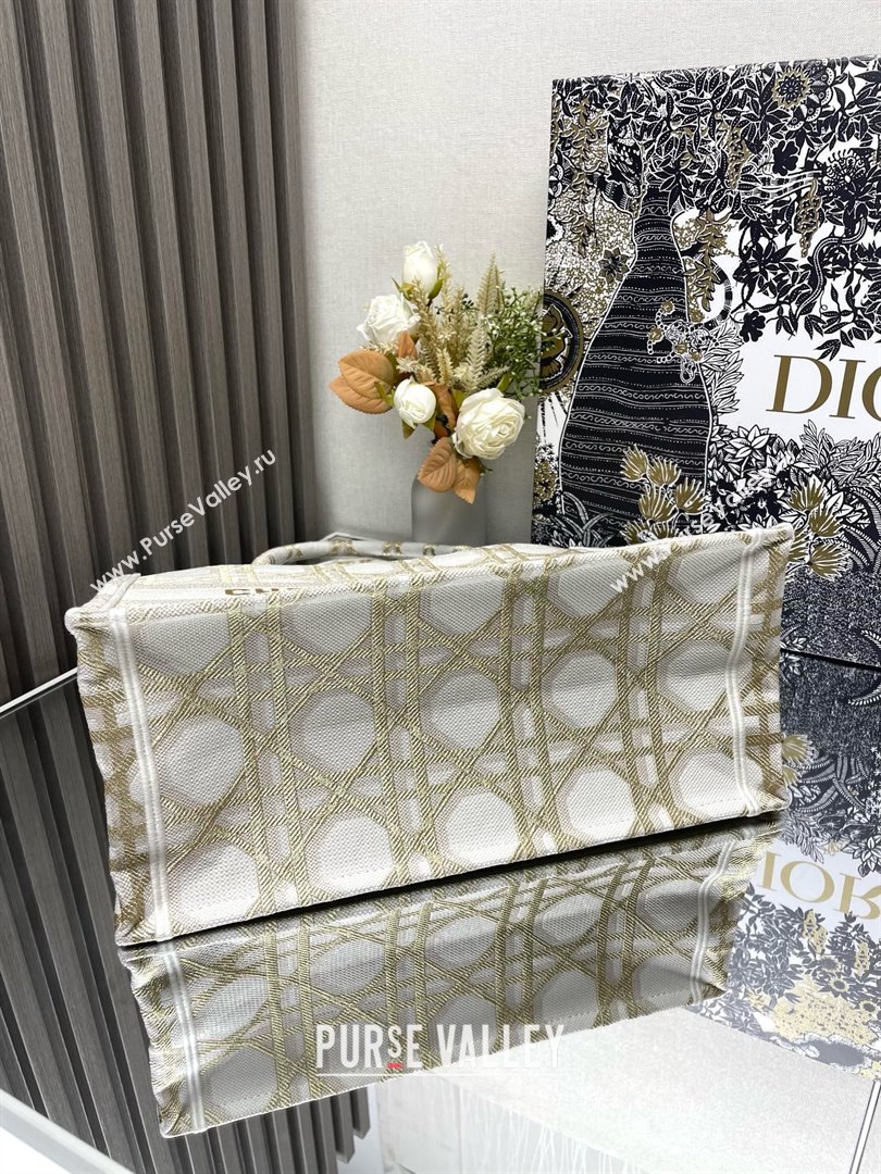Dior Medium Book Tote Bag in White and Gold-Tone Macrocannage Embroidery 2024 (xxg-240329-09)