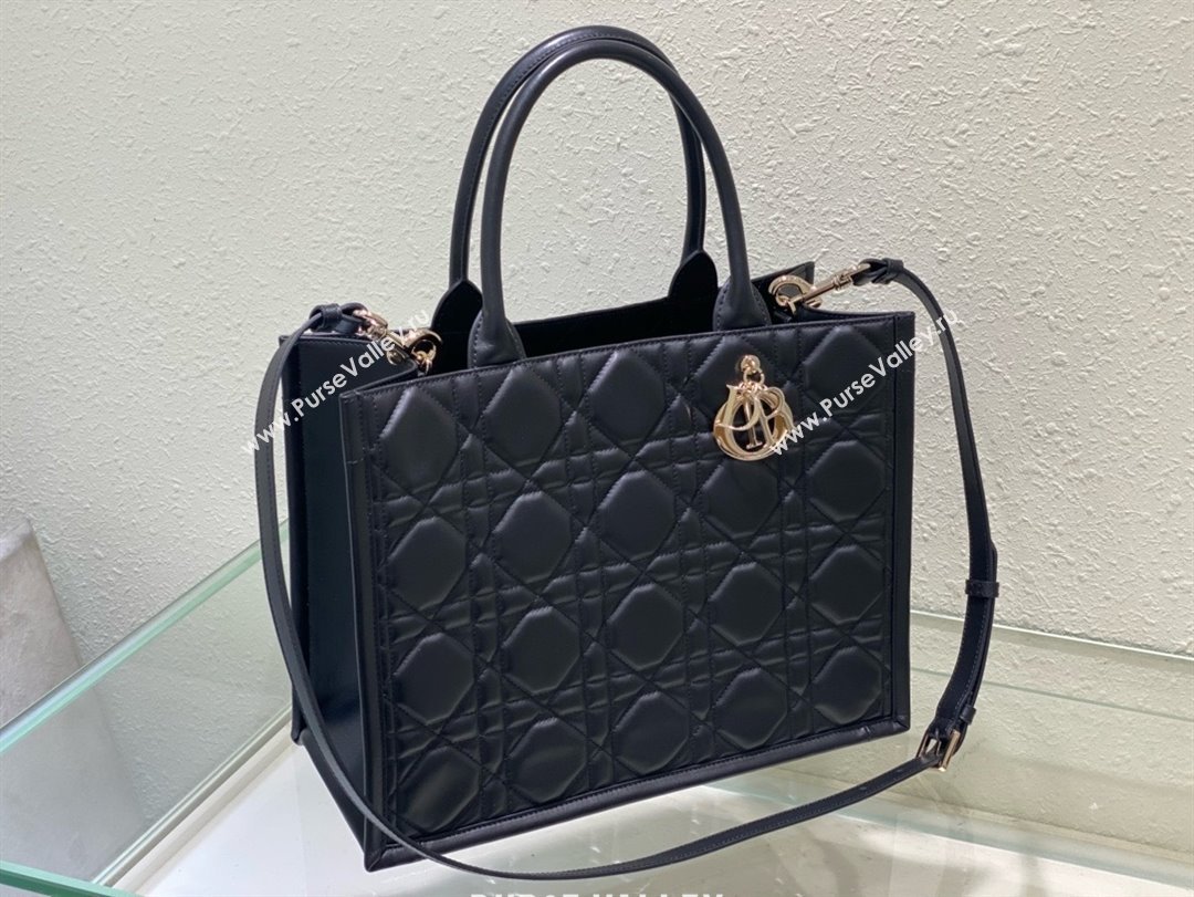 Dior Medium Book Tote Bag in black Macrocannage Calfskin 2024 (xxg-240401-01)