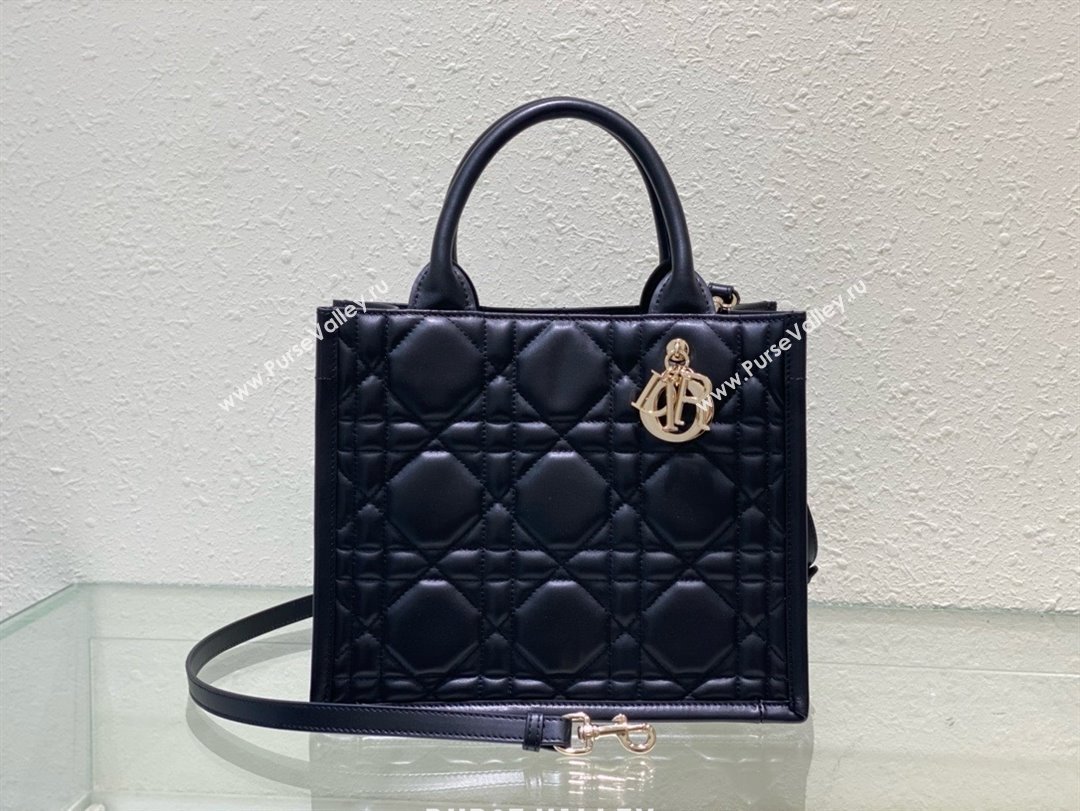 Dior small Book Tote Bag in black Macrocannage Calfskin 2024 (xxg-240401-03)