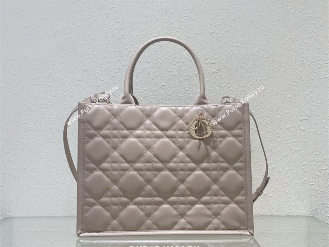 Dior Medium Book Tote Bag in nude pink Macrocannage Calfskin 2024 (xxg-240329-14)