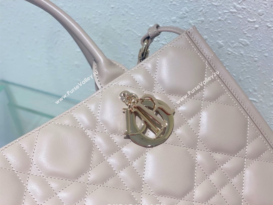 Dior Medium Book Tote Bag in nude pink Macrocannage Calfskin 2024 (xxg-240329-14)