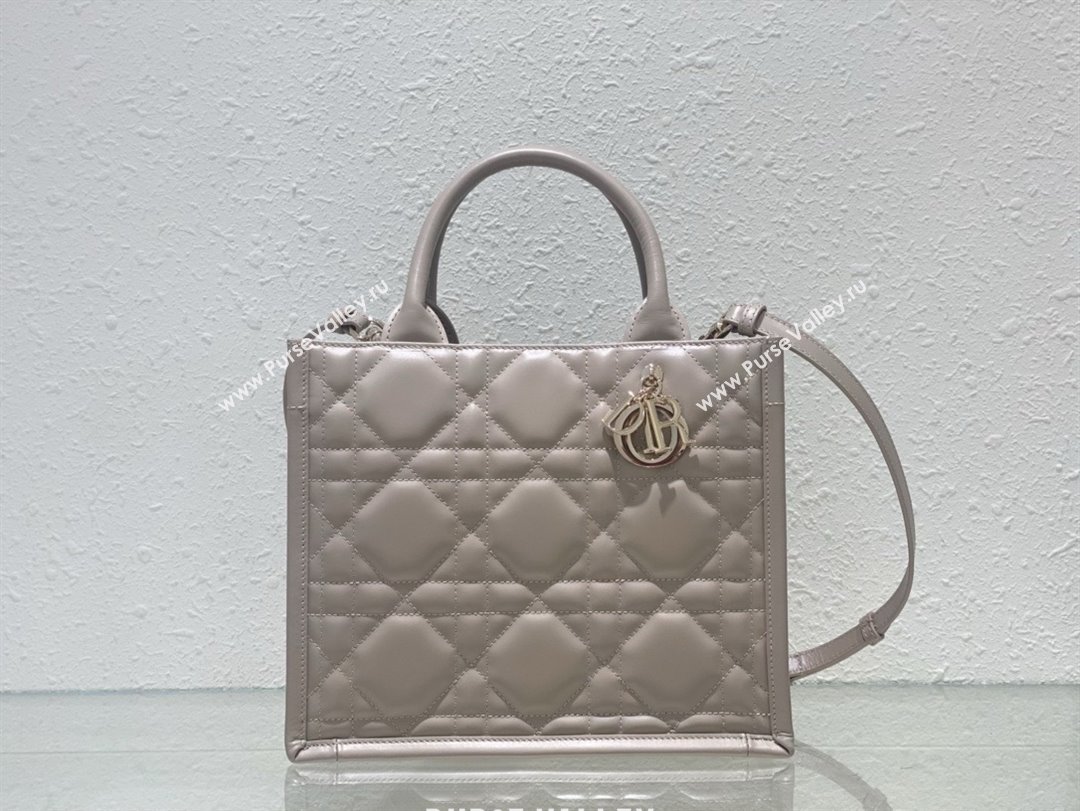 Dior small Book Tote Bag in nude pink Macrocannage Calfskin 2024 (xxg-240401-04)