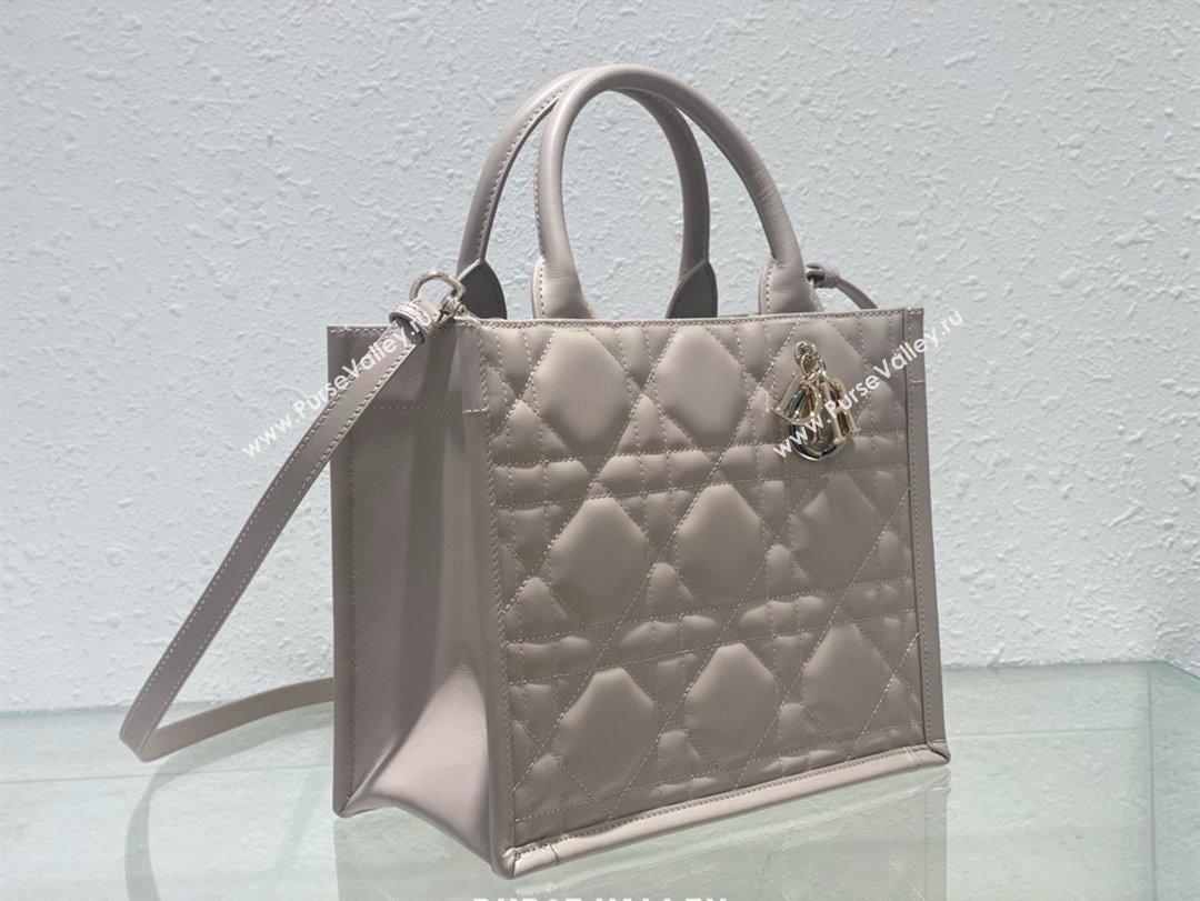 Dior small Book Tote Bag in nude pink Macrocannage Calfskin 2024 (xxg-240401-04)