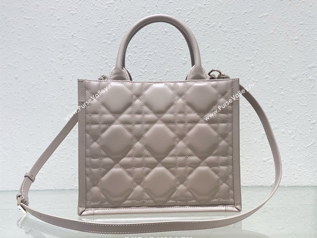 Dior small Book Tote Bag in nude pink Macrocannage Calfskin 2024 (xxg-240401-04)