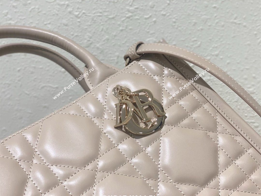 Dior small Book Tote Bag in nude pink Macrocannage Calfskin 2024 (xxg-240401-04)