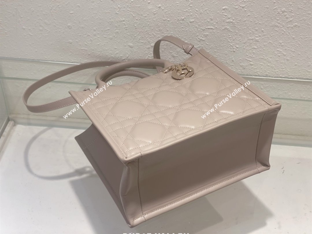 Dior small Book Tote Bag in nude pink Macrocannage Calfskin 2024 (xxg-240401-04)