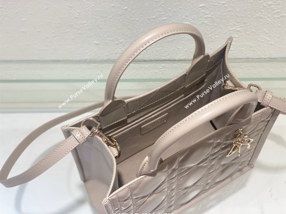 Dior small Book Tote Bag in nude pink Macrocannage Calfskin 2024 (xxg-240401-04)