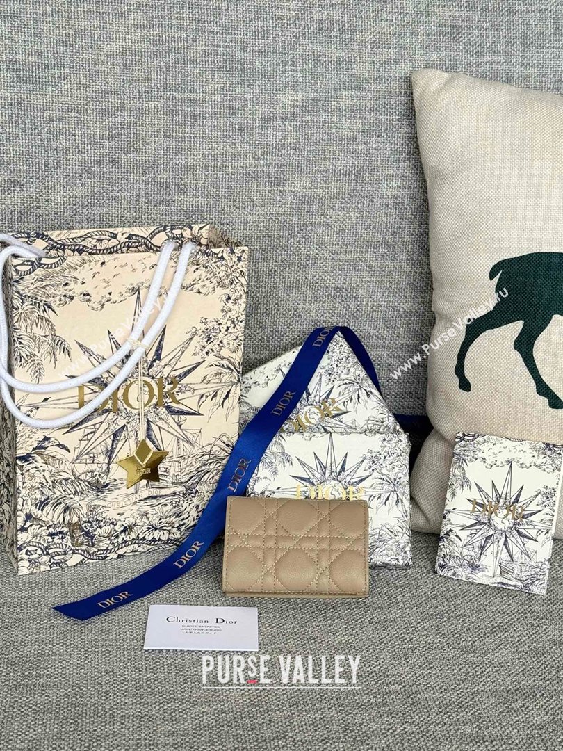 Dior Caro Glycine Wallet in Beige Supple Cannage Calfskin 2024 (xxg-240402-11)