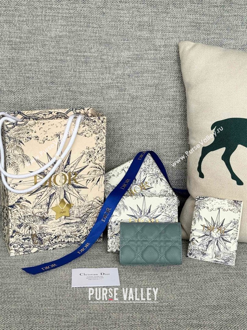 Dior Caro Glycine Wallet in Cloud Blue Supple Cannage Calfskin 2024 (xxg-240402-13)