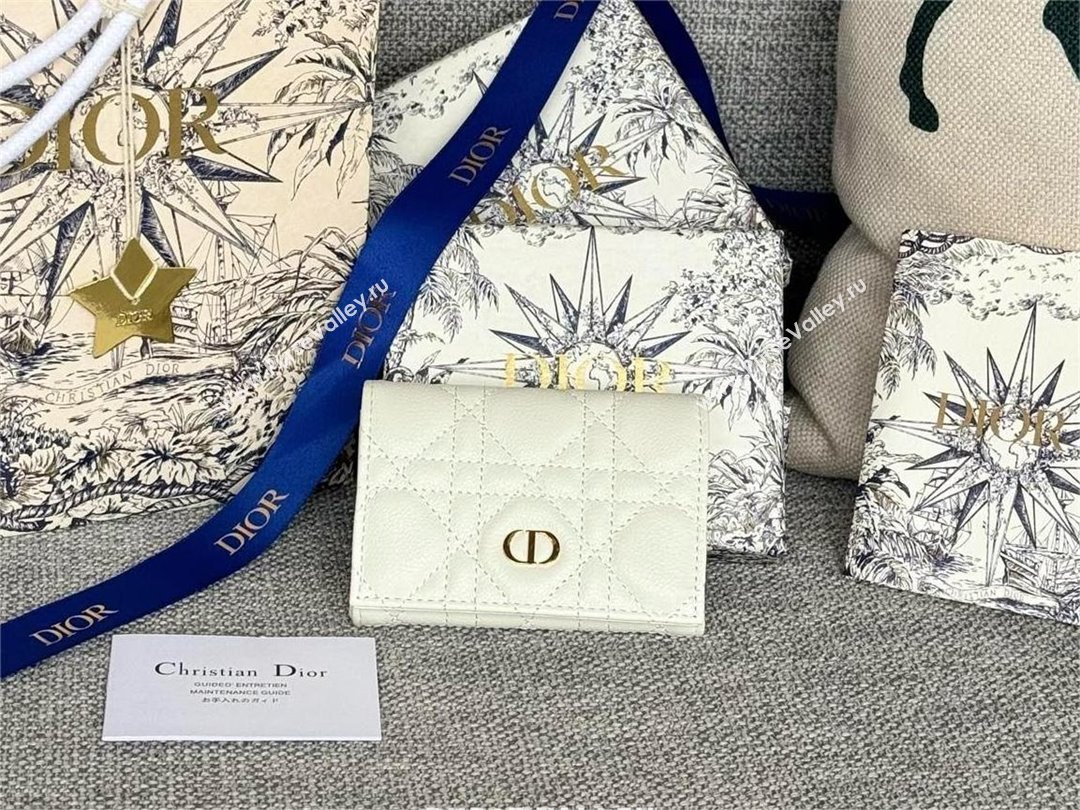 Dior Caro Glycine Wallet in white Supple Cannage Calfskin 2024 (xxg-240402-10)