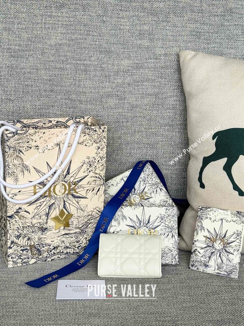 Dior Caro Glycine Wallet in white Supple Cannage Calfskin 2024 (xxg-240402-10)