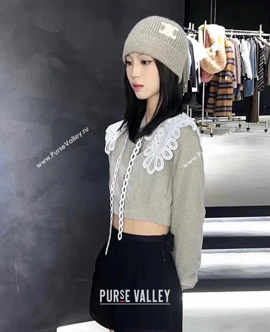 CELINE TRIOMPHE BEANIE IN SEAMLESS CASHMERE gray 2023 (MAO-231229-03)