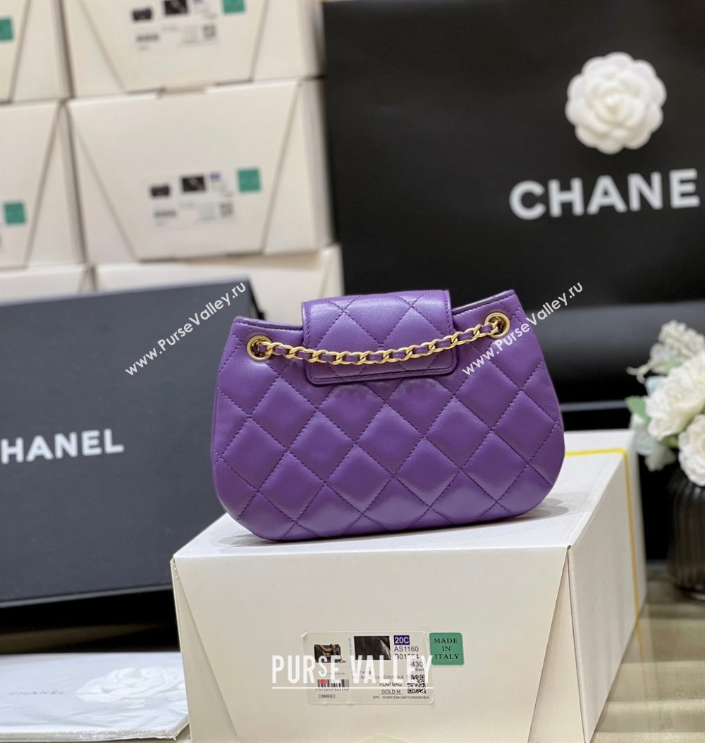 Chanel Lambskin Gold-Tone Metal Small Messenger Bag AS4609 purple 2024(original quality) (shunyang-240103-02)