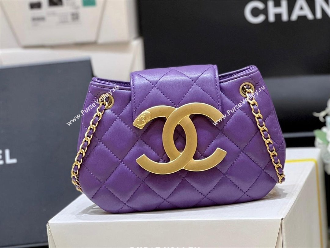 Chanel Lambskin Gold-Tone Metal Small Messenger Bag AS4609 purple 2024(original quality) (shunyang-240103-02)