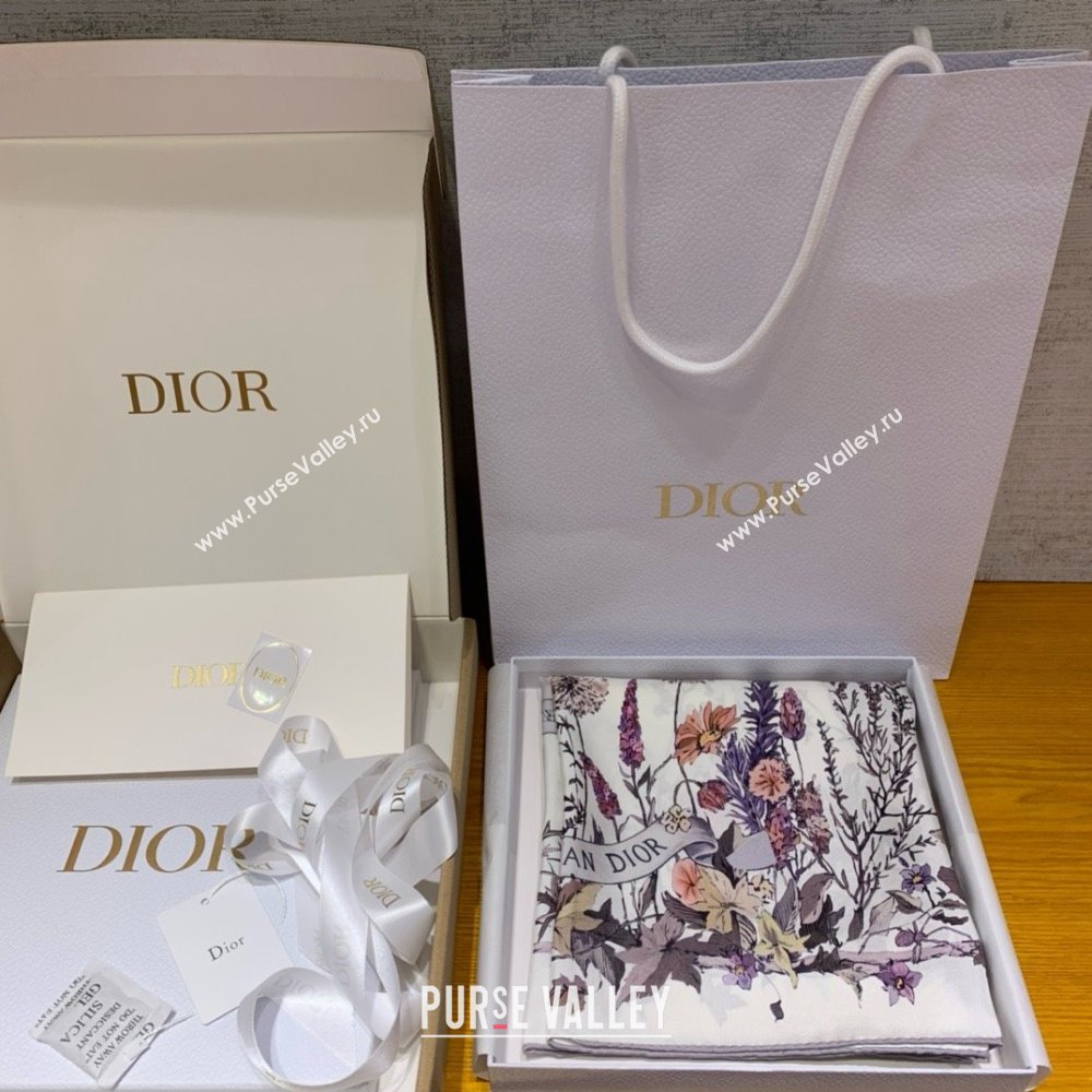 Dior 4 Saisons Été Soleil 90 Square Scarf 01 2024 (WEINISI-240427-01)