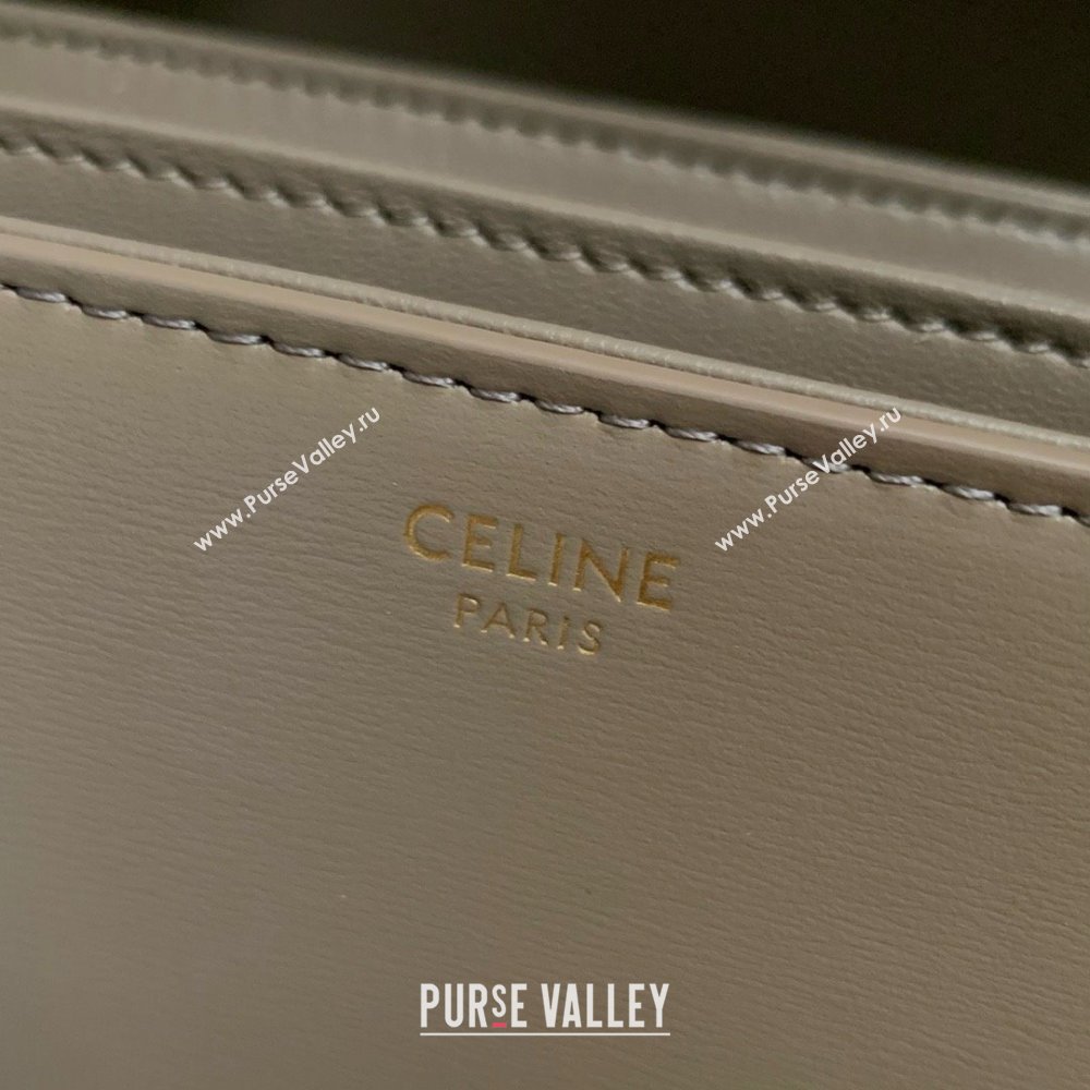 CELINE Classique Triomphe Bag in shiny calfskin pebble 2024 (BAILI-240304-06)