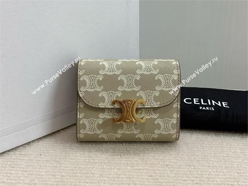 celine Small Wallet TRIOMPHE in TRIOMPHE CANVAS Grege 2024 (BAILI-240304-10)