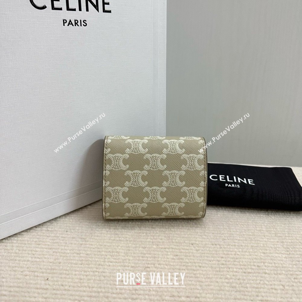 celine Small Wallet TRIOMPHE in TRIOMPHE CANVAS Grege 2024 (BAILI-240304-10)