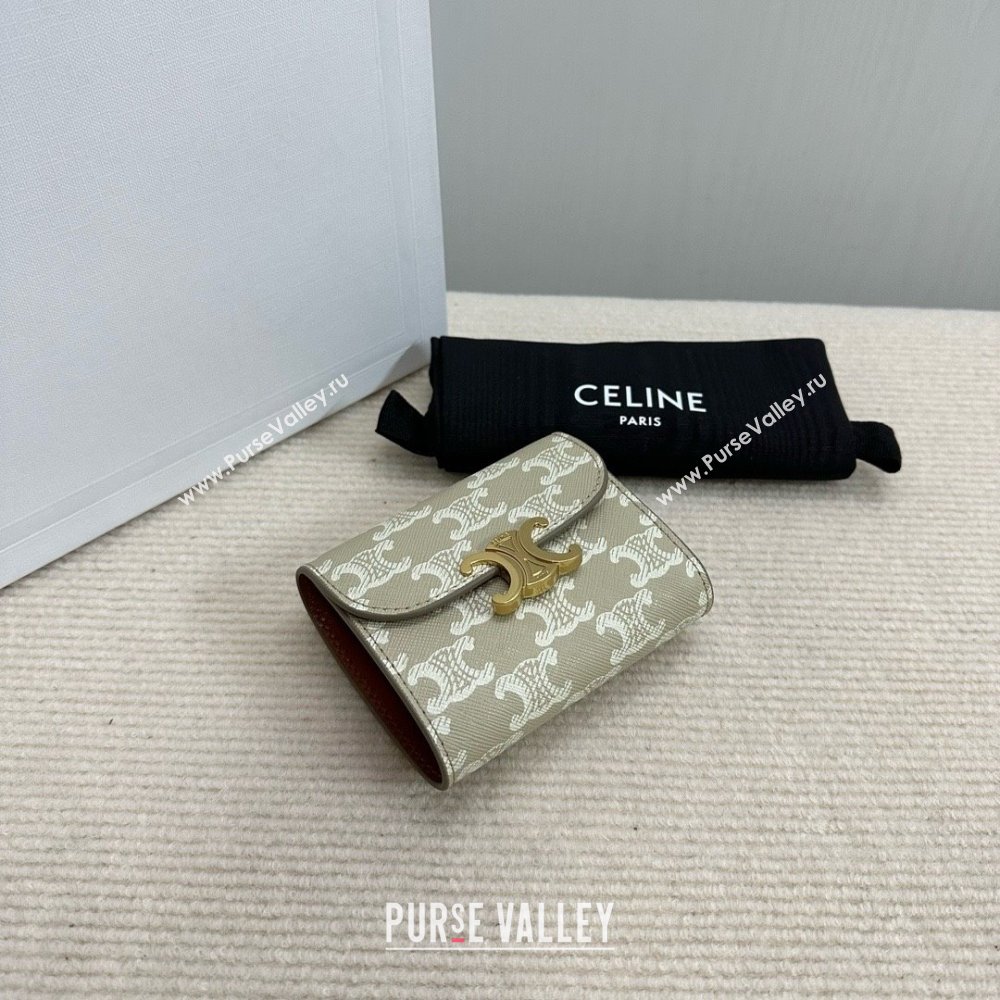 celine Small Wallet TRIOMPHE in TRIOMPHE CANVAS Grege 2024 (BAILI-240304-10)