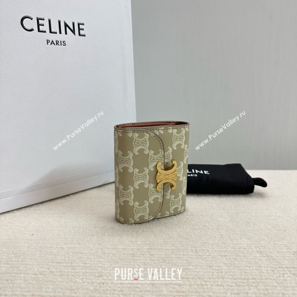 celine Small Wallet TRIOMPHE in TRIOMPHE CANVAS Grege 2024 (BAILI-240304-10)