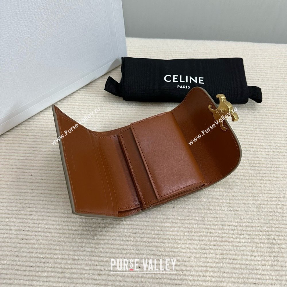 celine Small Wallet TRIOMPHE in TRIOMPHE CANVAS Grege 2024 (BAILI-240304-10)