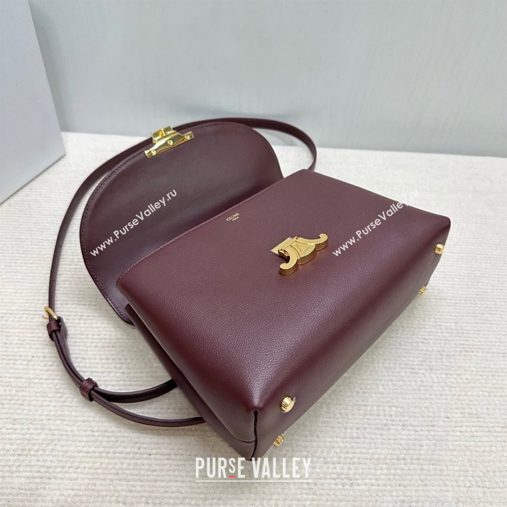 Celine Medium Nino Top Handle bag in Supple Calfskin Dark Burgundy 2025 117523 (BL-251124063)