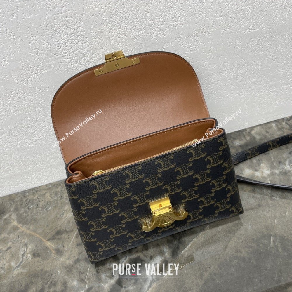 Celine Teen Nino Bag in Triomphe Canvas 2026 118113 (BL-260411005)